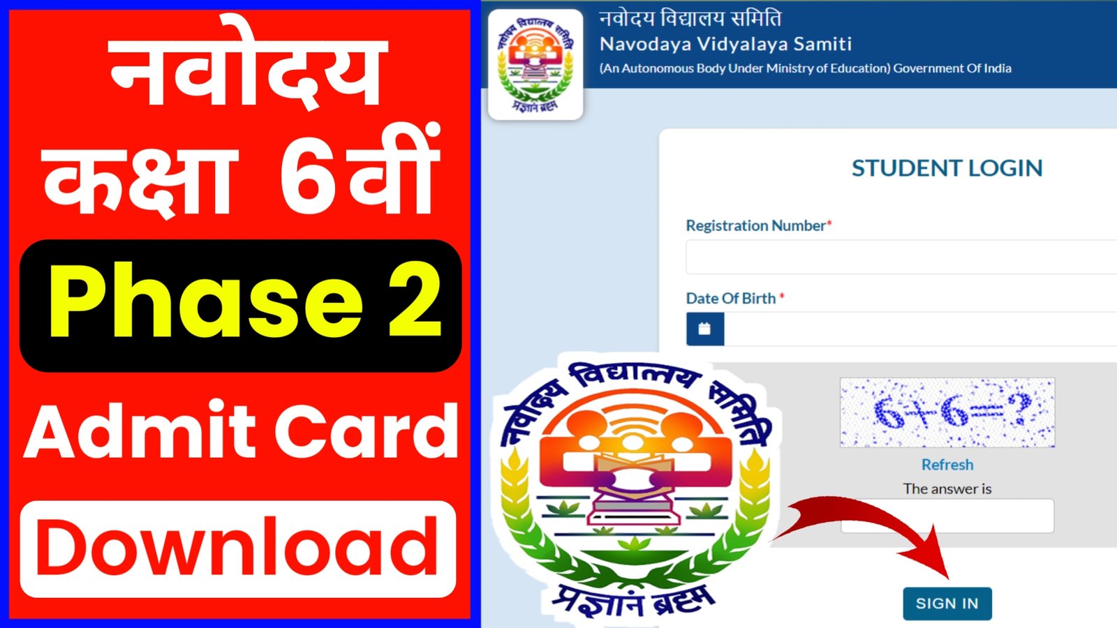 JNV Class 6 Phase 2 Admit Card 2024 Download